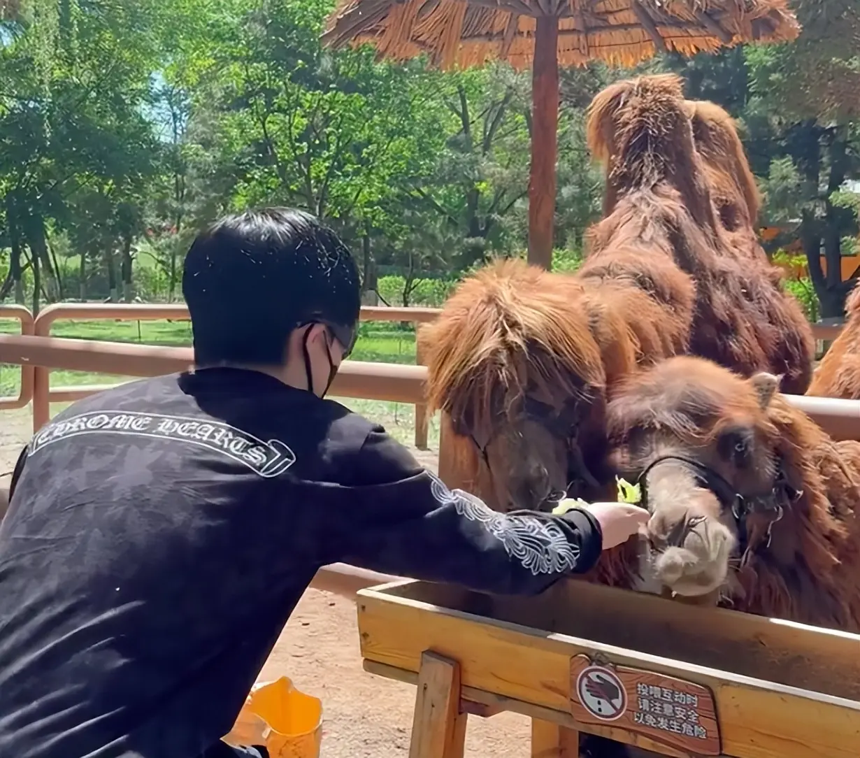 一帅一萌, 赛后的放松 一帅一萌, 赛后的放松