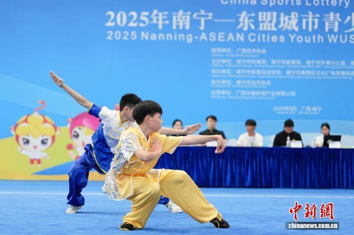 东盟各国青, 近年来, 少年武术公 东盟各国青, 近年来, 少年武术公