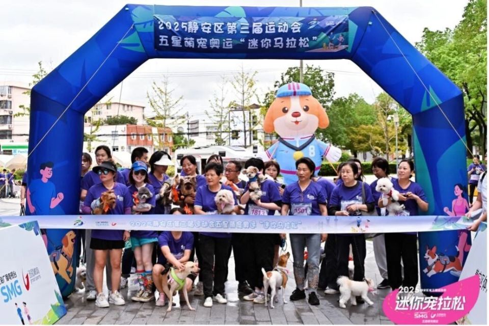 hVTi, jIntC hVTi, jIntC