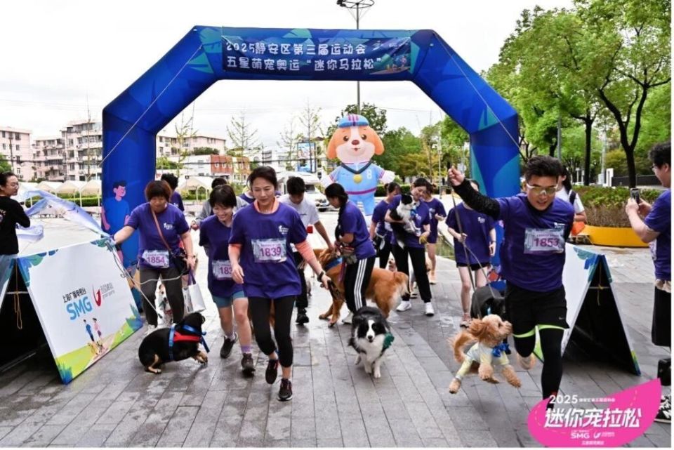 com, https com, https