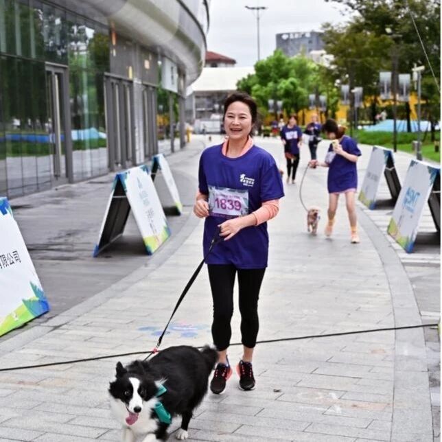 img, ViEnt img, ViEnt