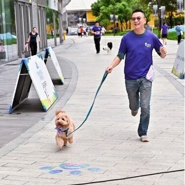 的较量从眼 的较量从眼